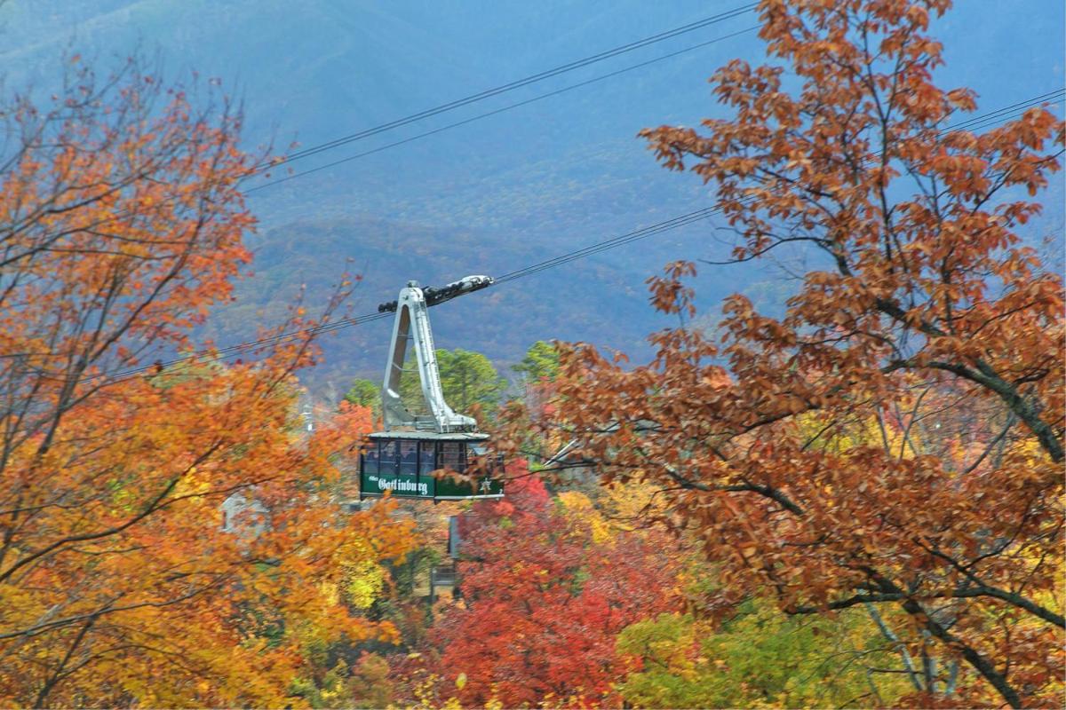 Knotty & Nice Holiday Home Gatlinburg Extérieur photo